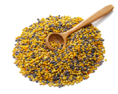 [0038] Бджолине обніжжя натуральне сушене